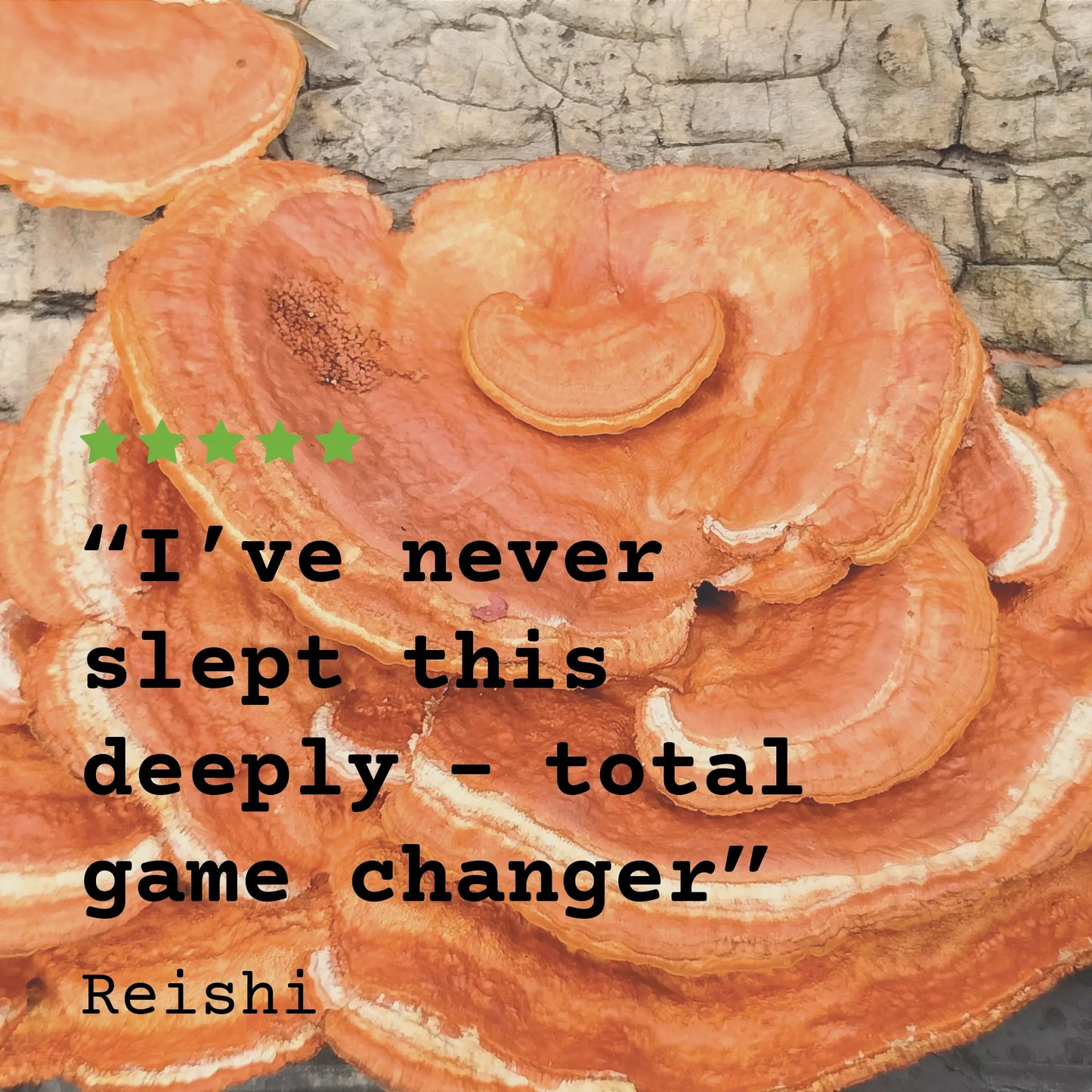 High Strength Reishi Mushroom Tincture