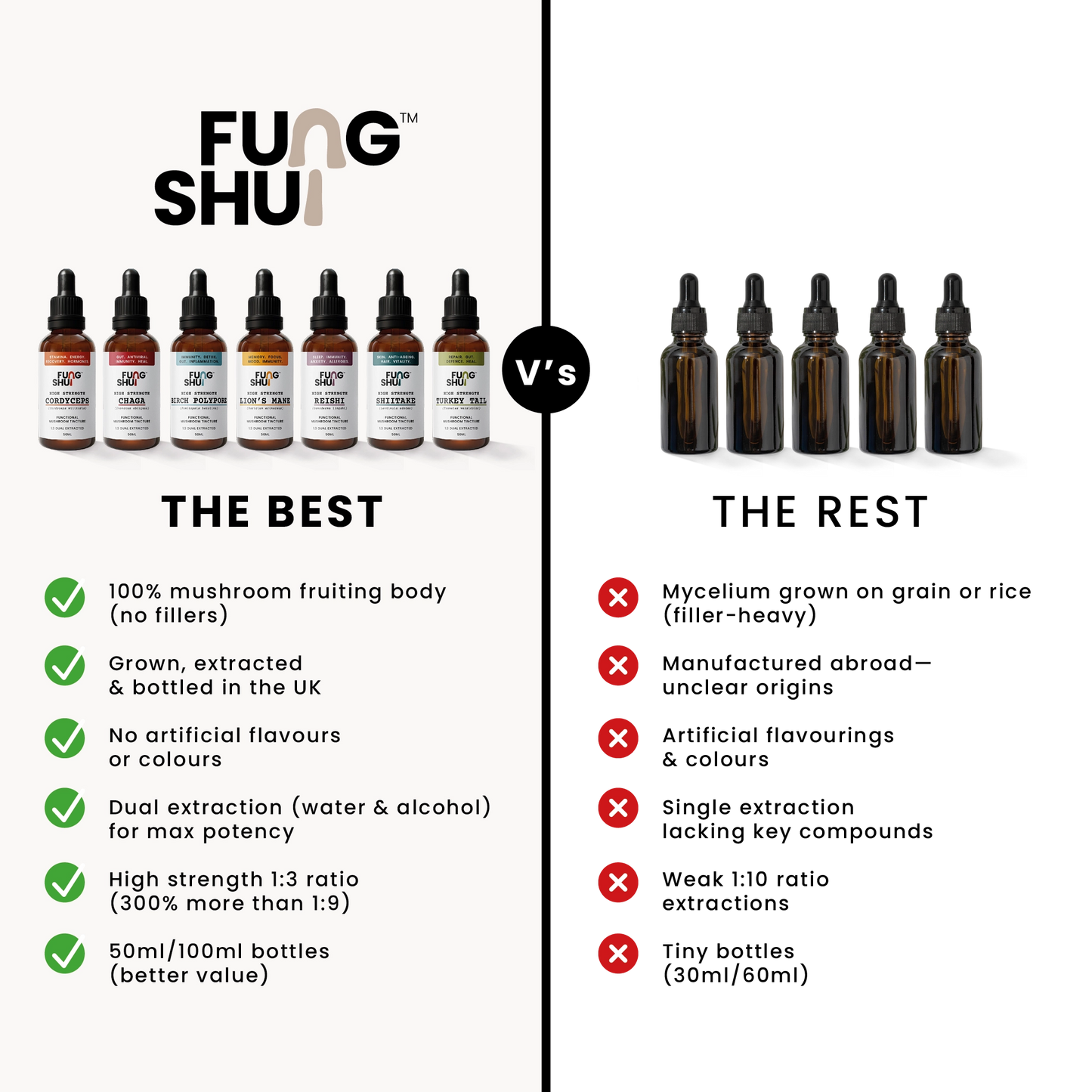 High Strength Lion’s Mane Mushroom Tincture