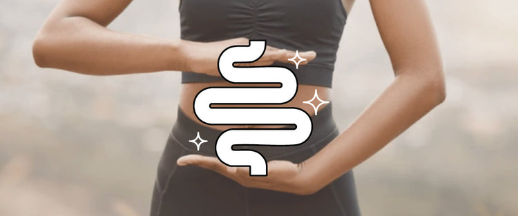 GUT & IMMUNE SUPPORT