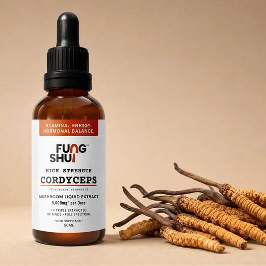 High Strength Cordyceps Premium Mushroom Tincture Liquid Extract