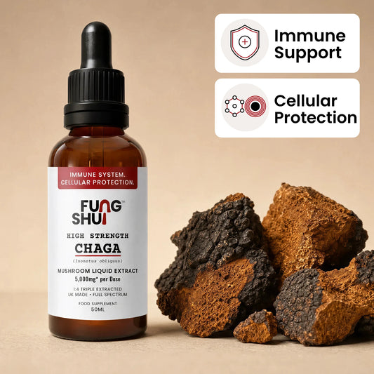 High Strength Chaga Premium Mushroom Tincture Liquid Extract
