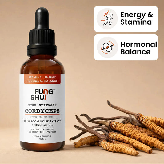 High Strength Cordyceps Premium Mushroom Tincture Liquid Extract