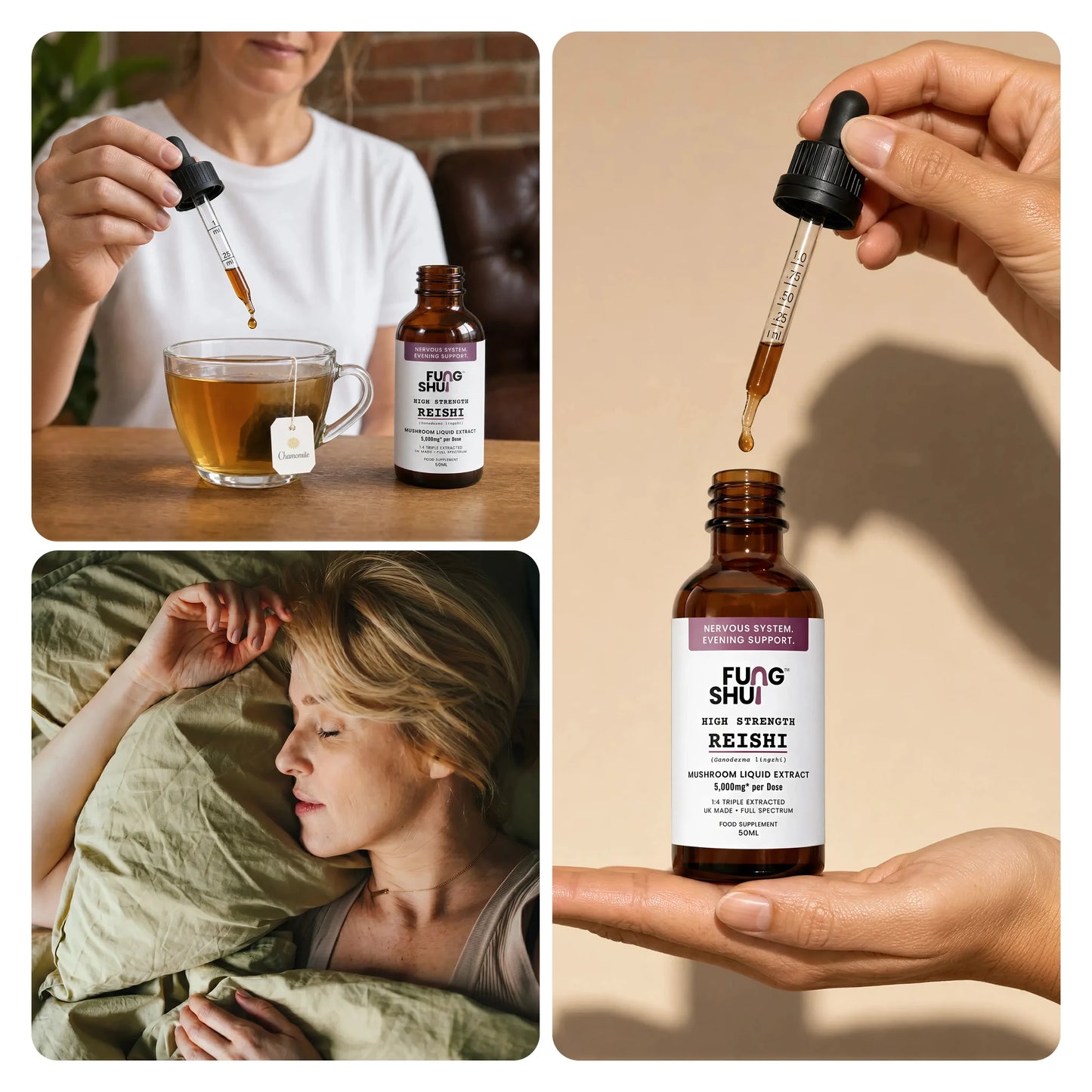 High Strength Reishi Premium Mushroom Tincture Liquid Extract