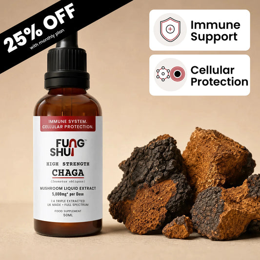 High Strength Chaga Mushroom Tincture Liquid Extract