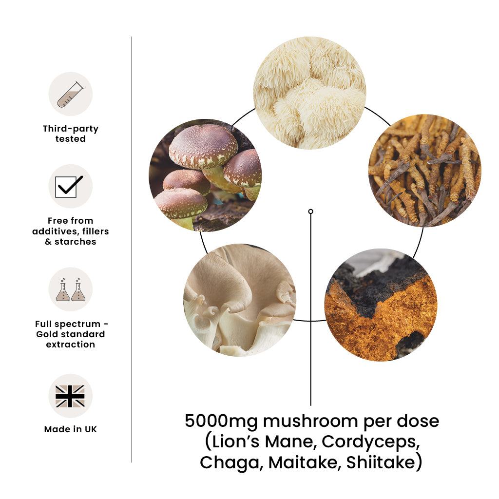 High Strength 5-in-1 Premium Mushroom Tincture Liquid Extract
