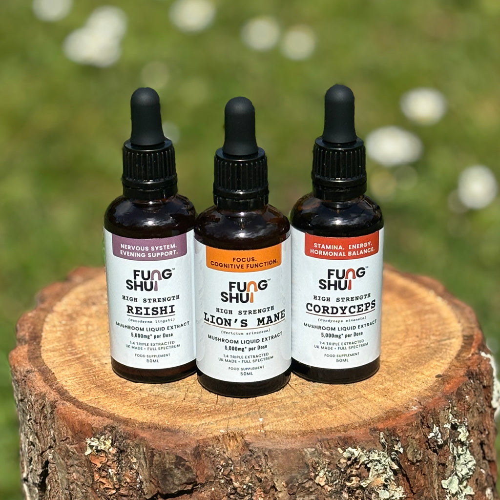Women's 40+ Refill Bundle Premium Mushroom Tincture Liquid Extracts