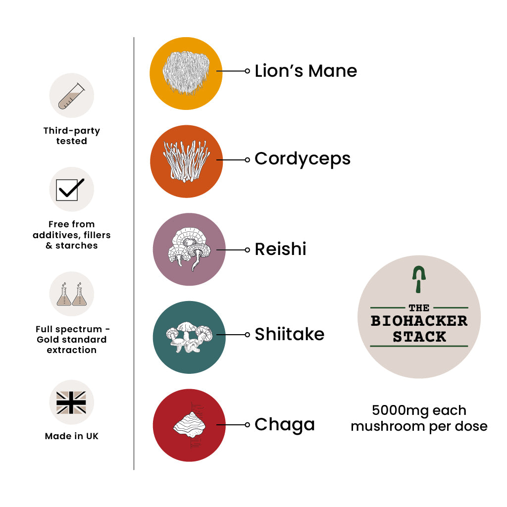 The Biohacker Stack Refill Premium Mushroom Tinctures