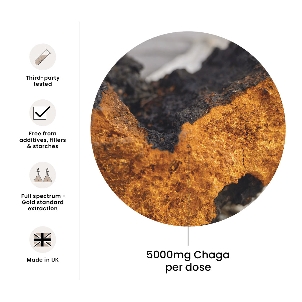 High Strength Chaga Premium Mushroom Liquid Extract