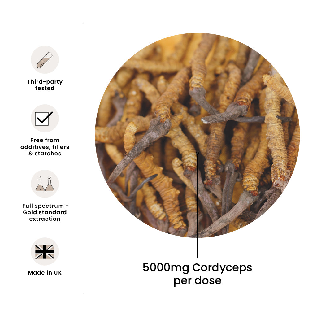 High Strength Cordyceps Premium Mushroom Liquid Extract