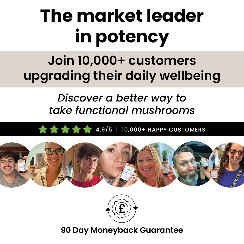 Biohacker Stack Premium Mushroom Tinctures