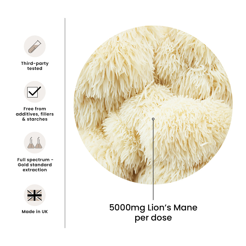 High Strength Lion’s Mane Premium Mushroom Tincture Liquid Extract