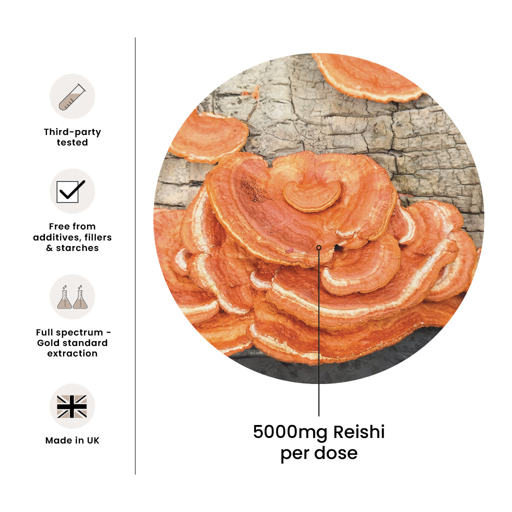 High Strength Reishi Premium Mushroom Tincture Liquid Extract