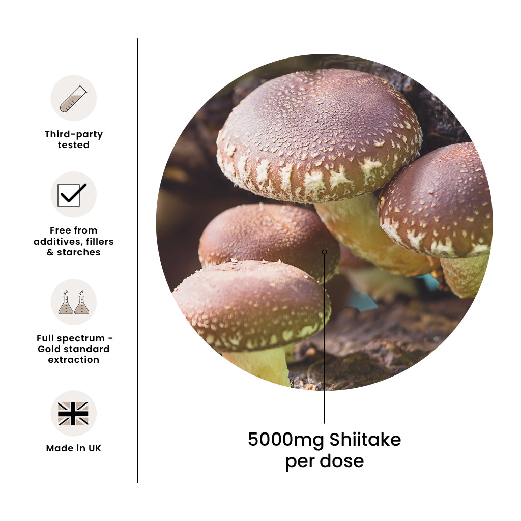 High Strength Shiitake Premium Mushroom Tincture Liquid Extract