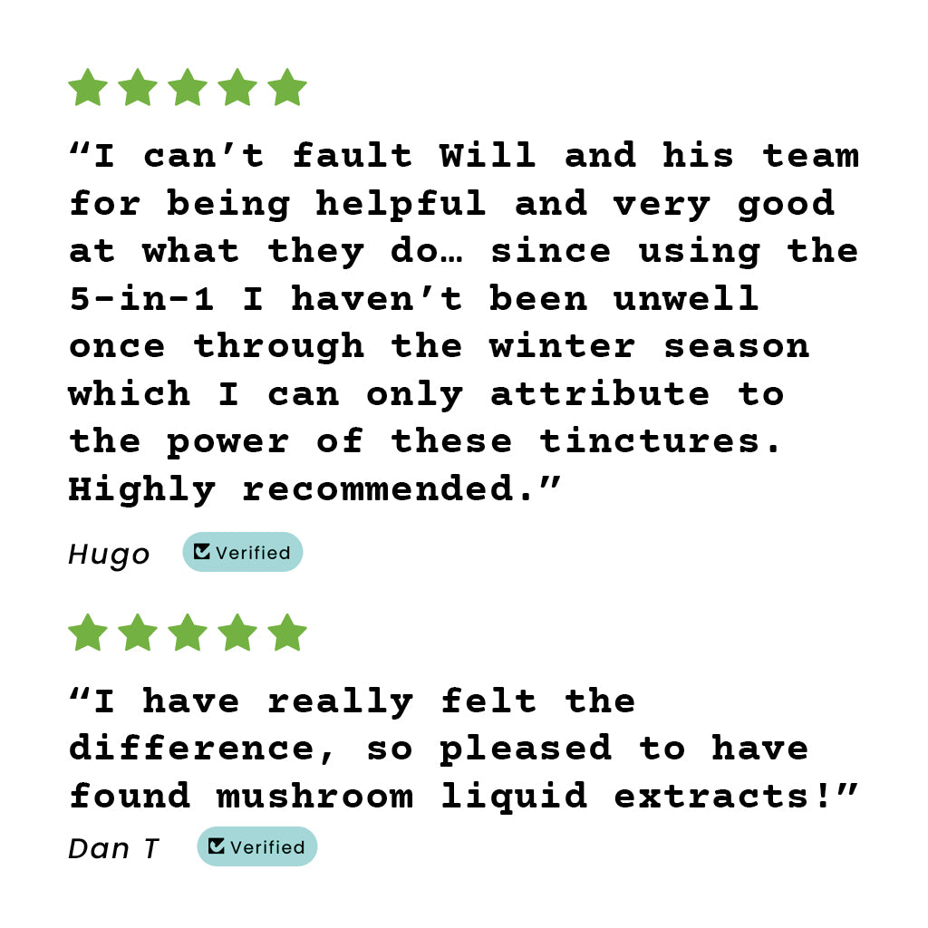 High Strength 5-in-1 Premium Mushroom Tincture Liquid Extract