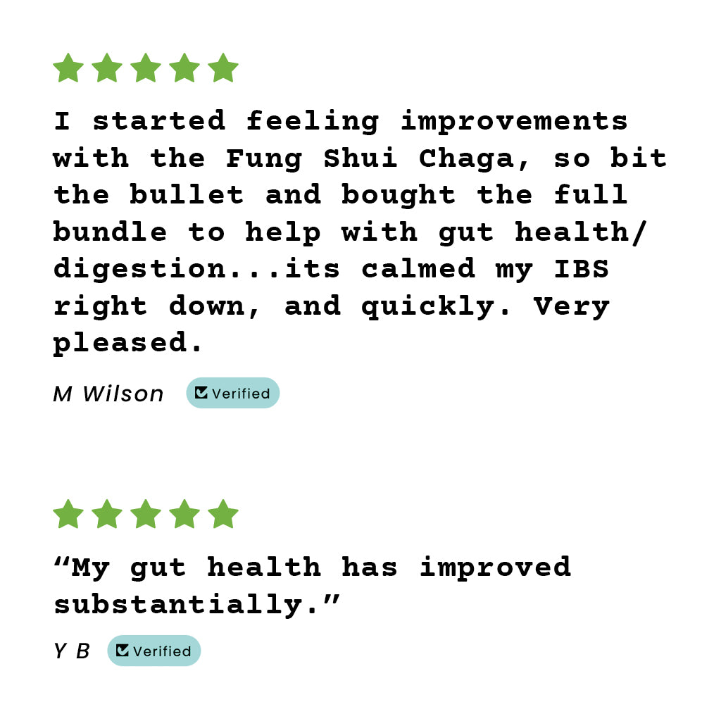 Go With Your Gut Pack Premium Mushroom Liquid Extracts